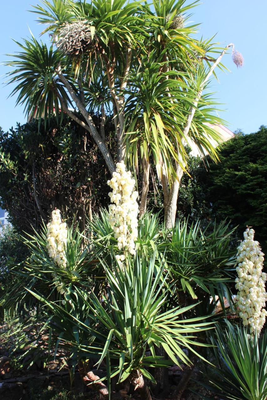 Bed and Breakfast Trafalgar House Torquay Exterior foto